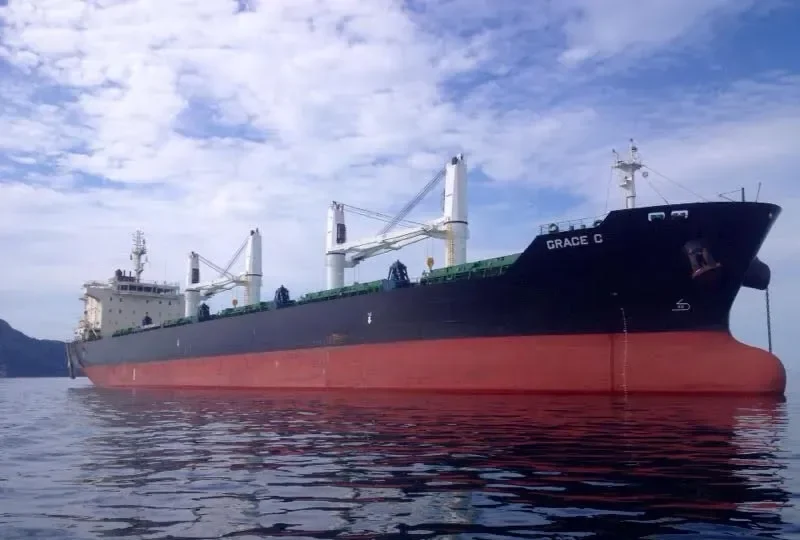 GRACE C Bulk Carrier IMO 9530979 photo 4
