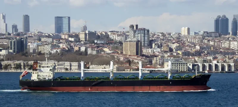 GRACE C Bulk Carrier IMO 9530979 photo 5