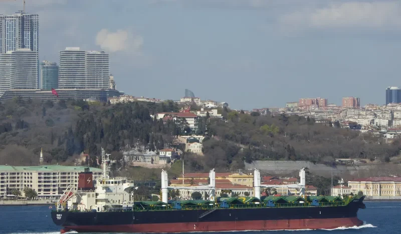 GRACE C Bulk Carrier IMO 9530979 photo 6