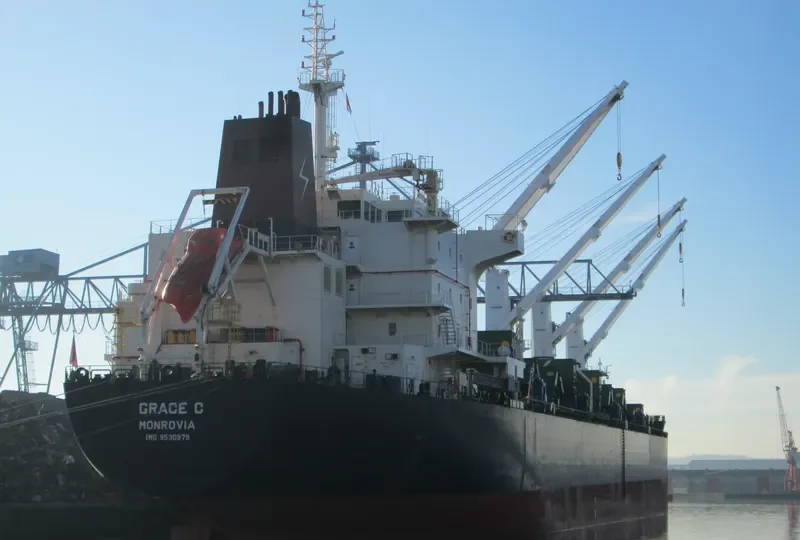 GRACE C Bulk Carrier IMO 9530979 photo 8