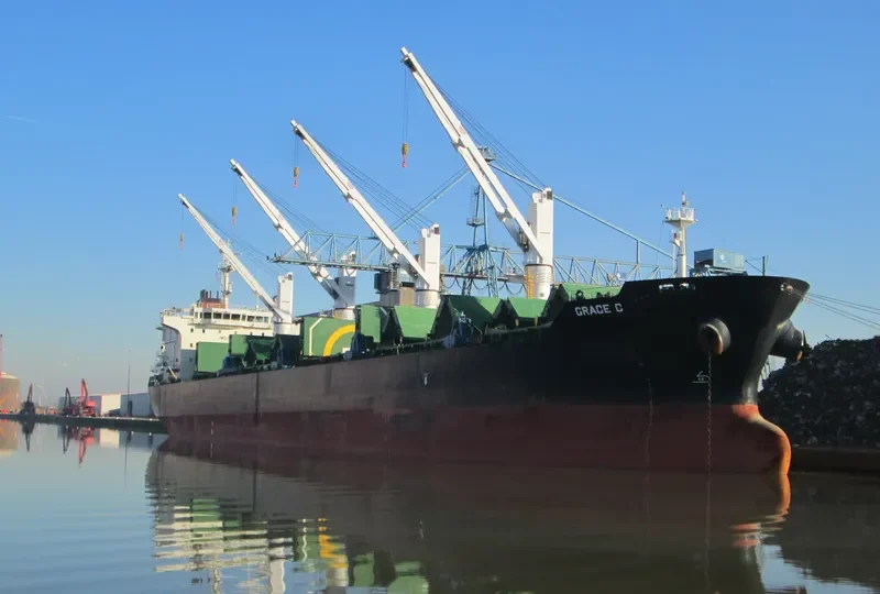 GRACE C Bulk Carrier IMO 9530979 photo 9