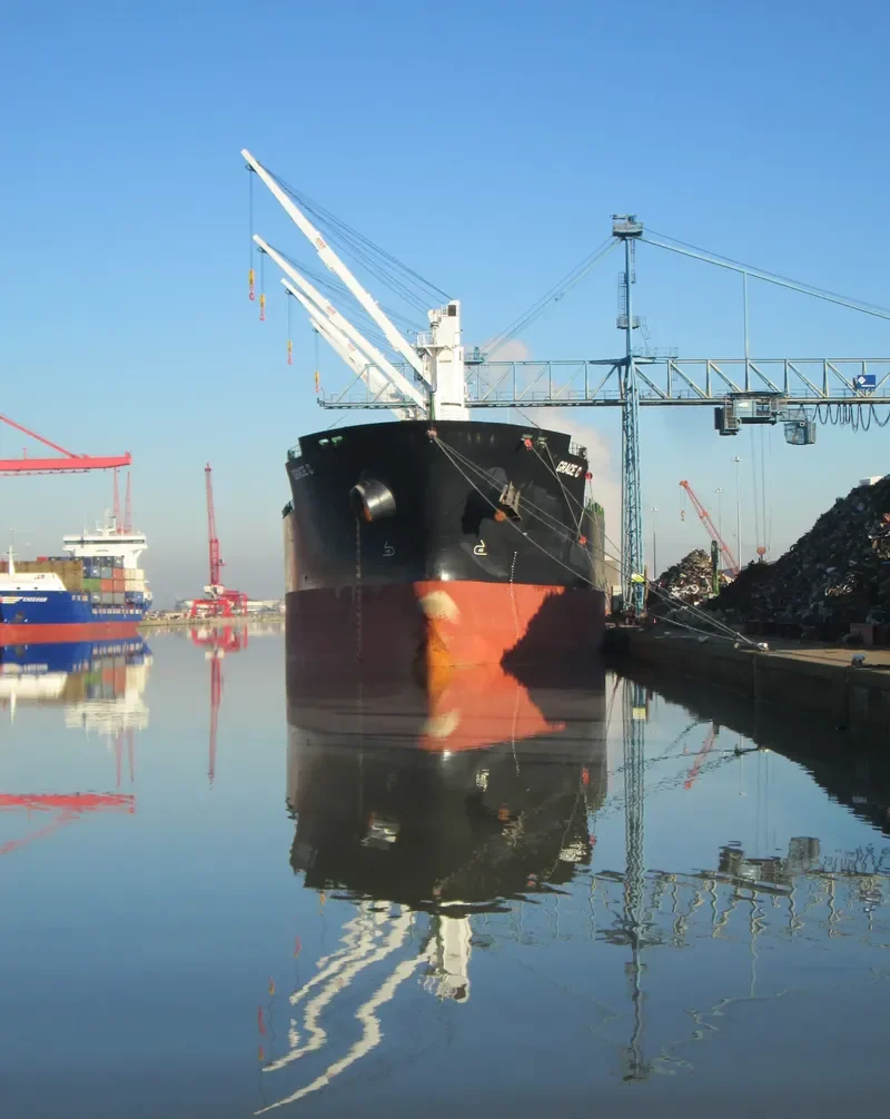 GRACE C Bulk Carrier IMO 9530979 photo 10