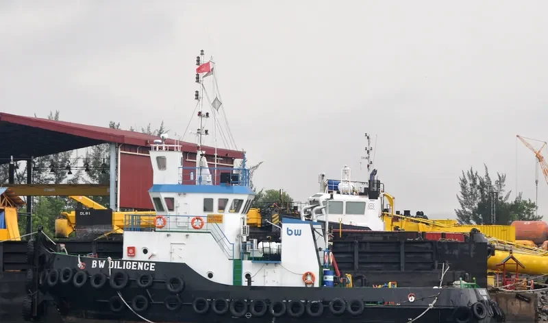 BW DILIGENCE General Cargo IMO 9531026 photo 2