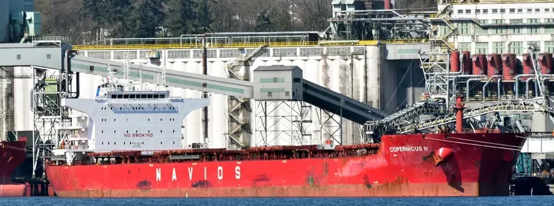 COPERNICUS N Bulk Carrier IMO 9531454 photo 5