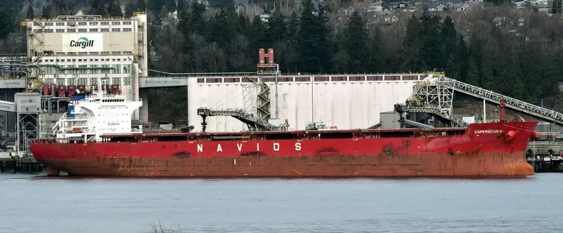 COPERNICUS N Bulk Carrier IMO 9531454 photo 6