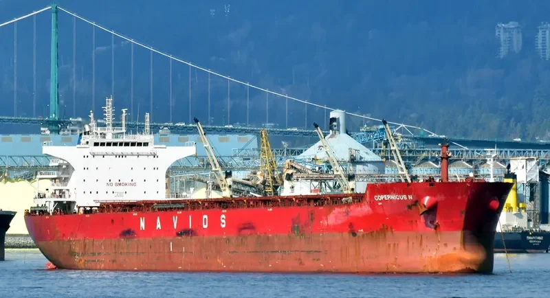 COPERNICUS N Bulk Carrier IMO 9531454 photo 9