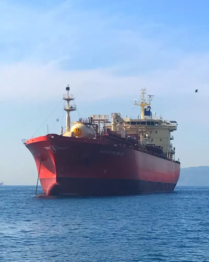 NAVIGATOR GRACE General Cargo IMO 9531478
