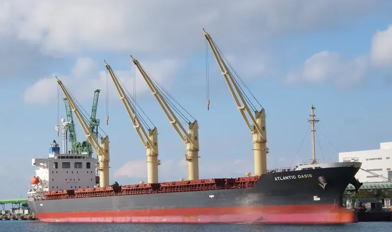 ATLANTIC OASIS Bulk Carrier IMO 9531650 photo 6