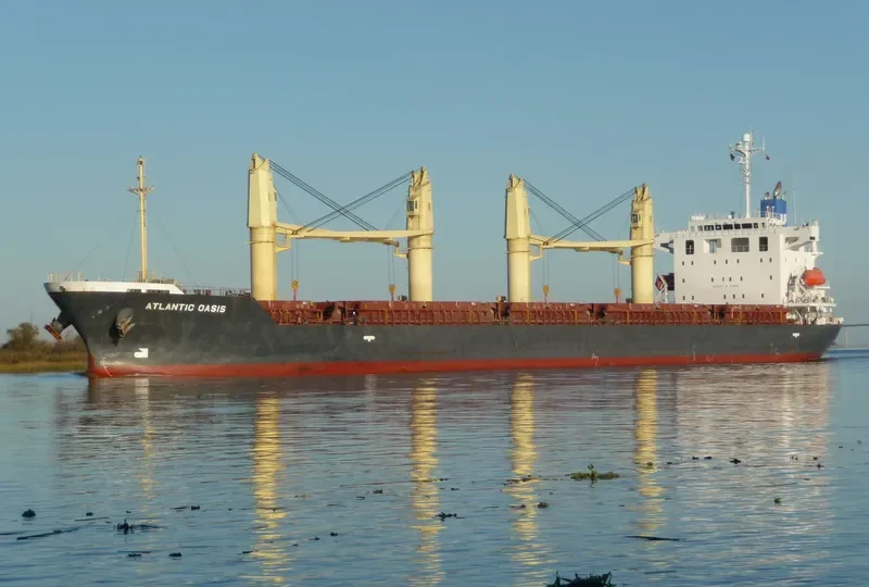 ATLANTIC OASIS Bulk Carrier IMO 9531650 photo 7