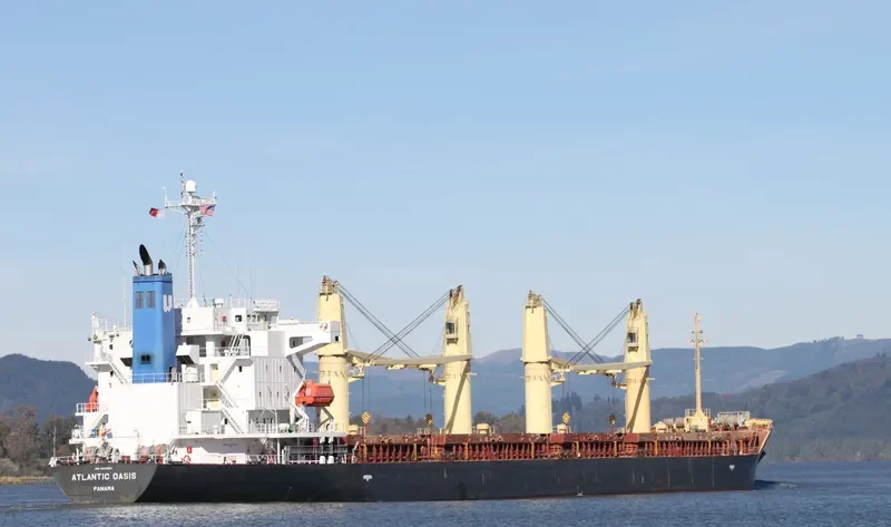 ATLANTIC OASIS Bulk Carrier IMO 9531650 photo 8