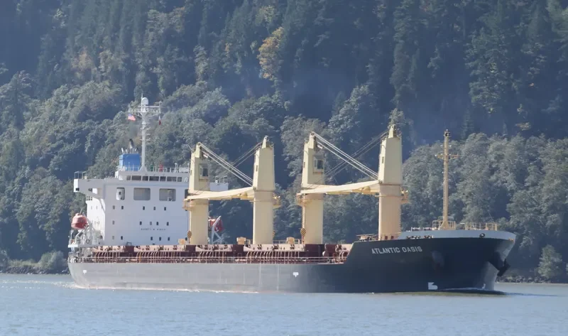 ATLANTIC OASIS Bulk Carrier IMO 9531650 photo 9