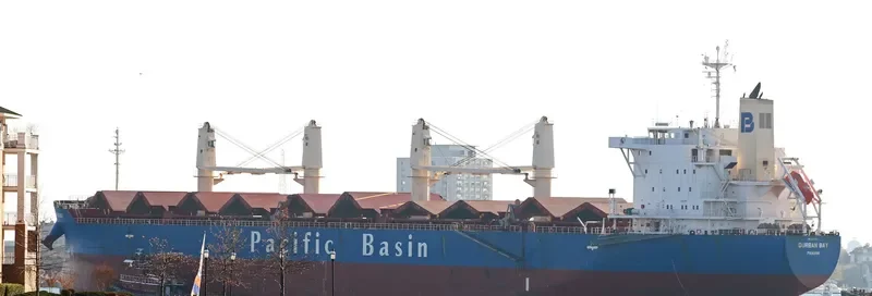 DURBAN BAY Bulk Carrier IMO 9531662 photo 4