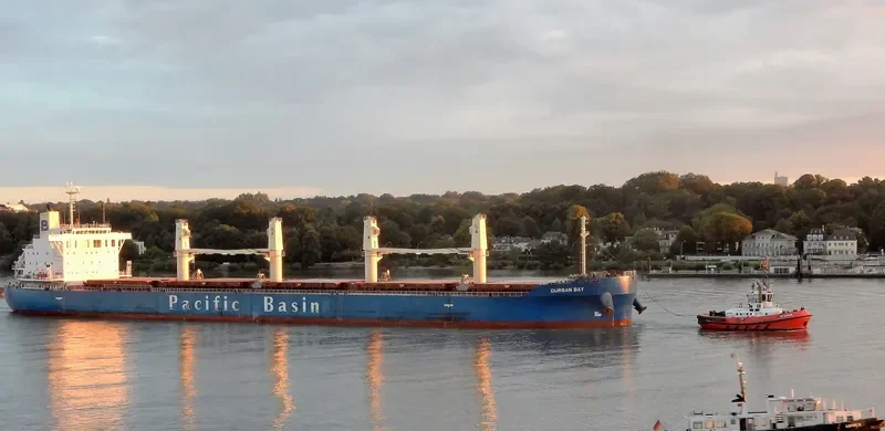 DURBAN BAY Bulk Carrier IMO 9531662 photo 5
