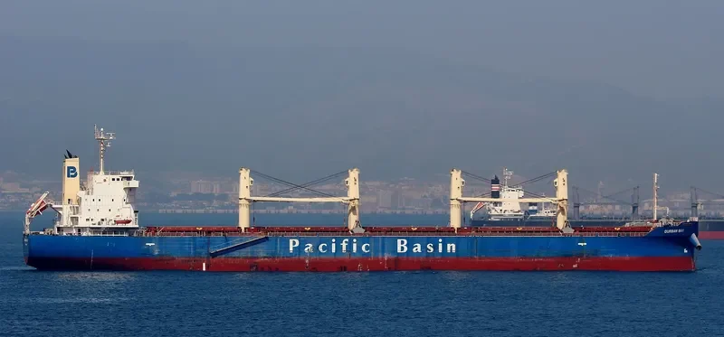 DURBAN BAY Bulk Carrier IMO 9531662 photo 8