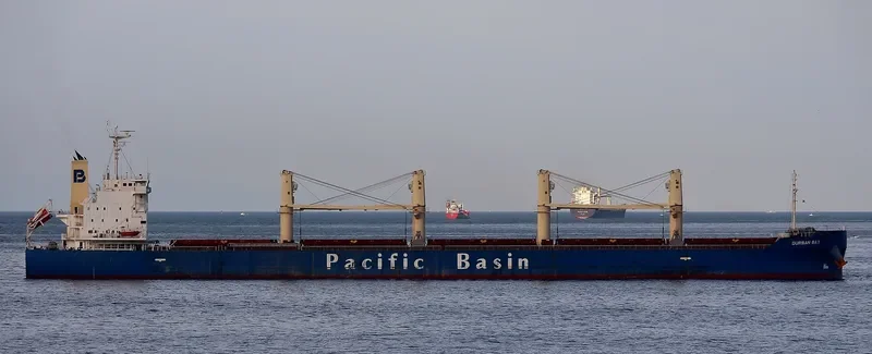 DURBAN BAY Bulk Carrier IMO 9531662 photo 9