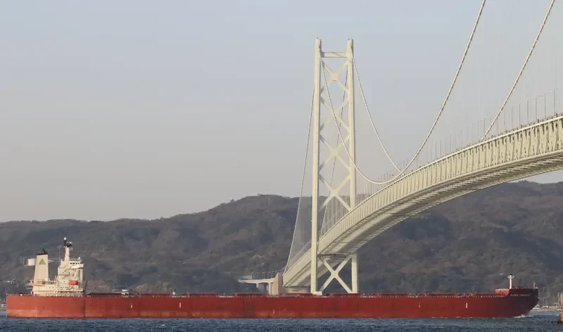GLOBAL COMMANDER Bulk Carrier IMO 9531844 photo 7