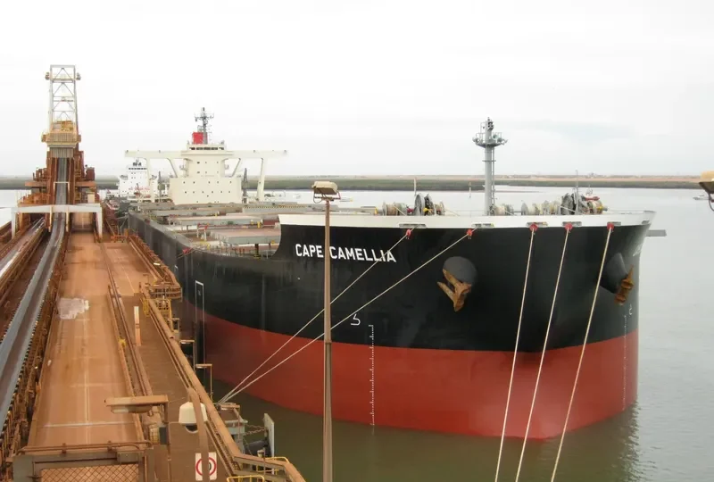 CAPE CAMELLIA Bulk Carrier IMO 9531856