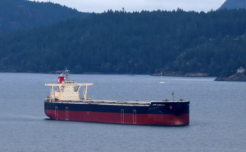 CAPE CAMELLIA Bulk Carrier IMO 9531856 photo 4