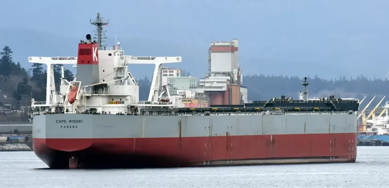 CAPE MIDORI Bulk Carrier IMO 9531868 photo 2