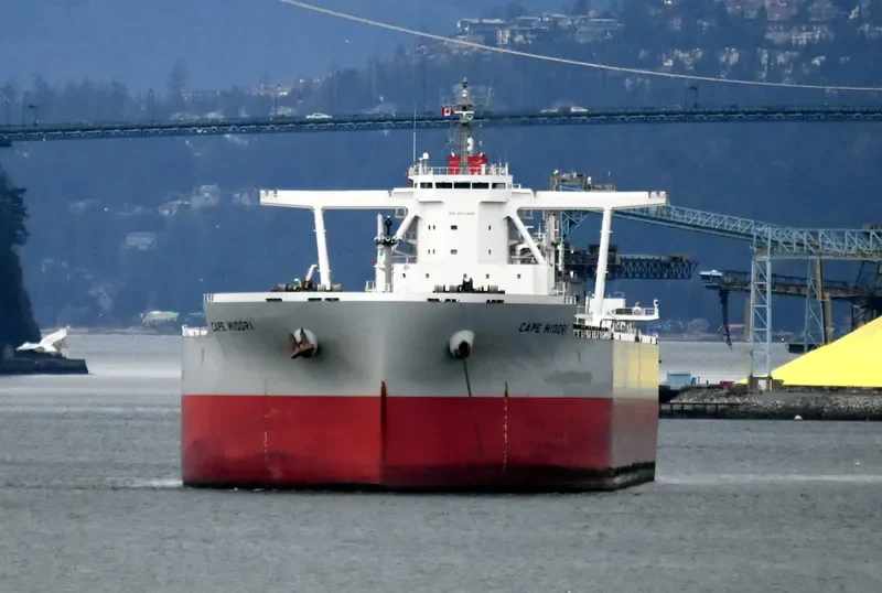 CAPE MIDORI Bulk Carrier IMO 9531868 photo 3