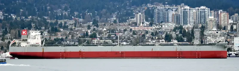 CAPE MIDORI Bulk Carrier IMO 9531868 photo 4