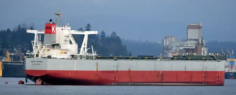 CAPE MIDORI Bulk Carrier IMO 9531868 photo 5