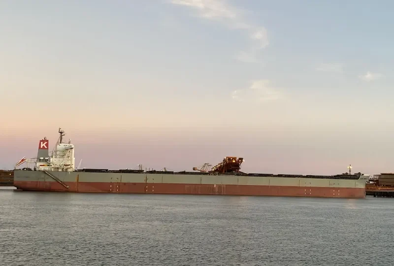 CAPE MIDORI Bulk Carrier IMO 9531868 photo 10