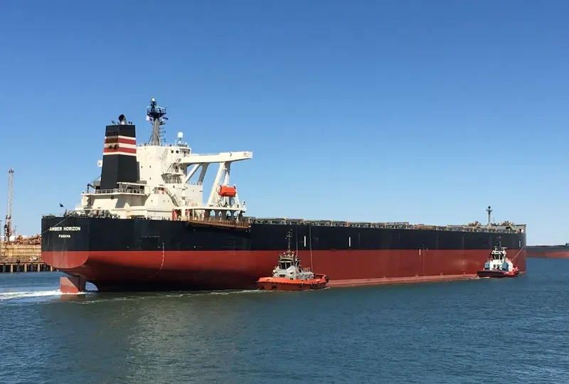 AMBER HORIZON Bulk Carrier IMO 9531870 photo 2