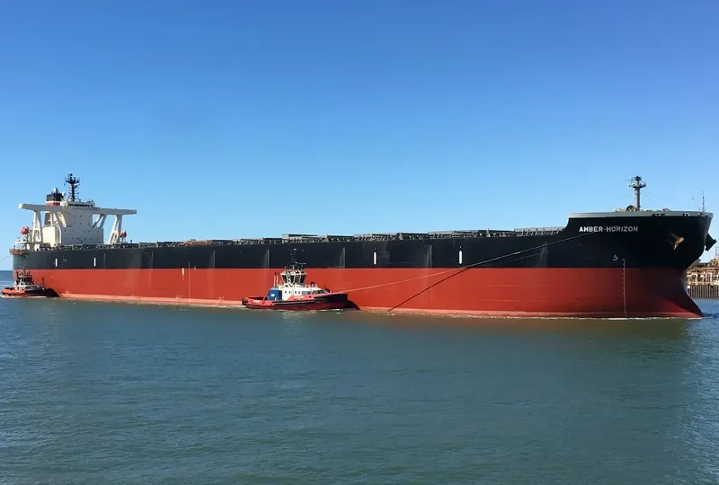AMBER HORIZON Bulk Carrier IMO 9531870 photo 3