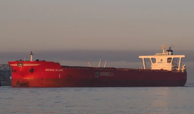 BERGE BLANC Bulk Carrier IMO 9531882 photo 6
