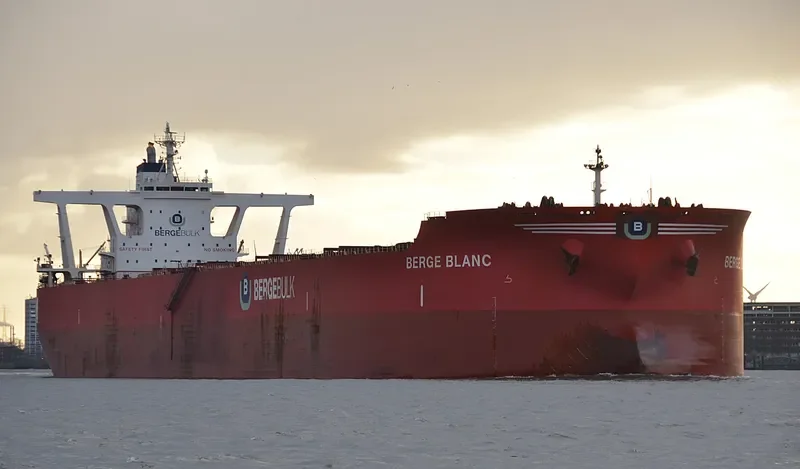 BERGE BLANC Bulk Carrier IMO 9531882 photo 10