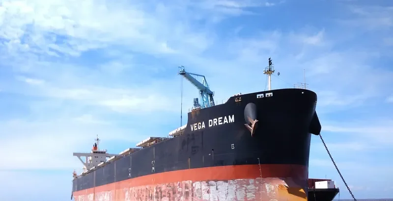 VEGA DREAM Bulk Carrier IMO 9532094 photo 2