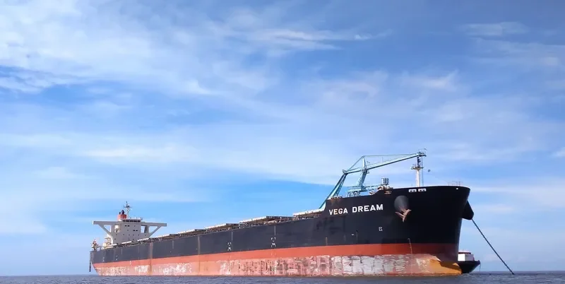 VEGA DREAM Bulk Carrier IMO 9532094 photo 3