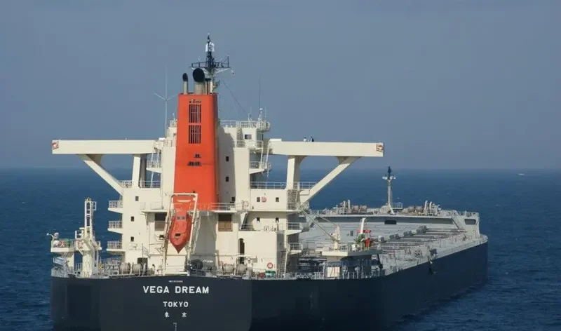 VEGA DREAM Bulk Carrier IMO 9532094 photo 5