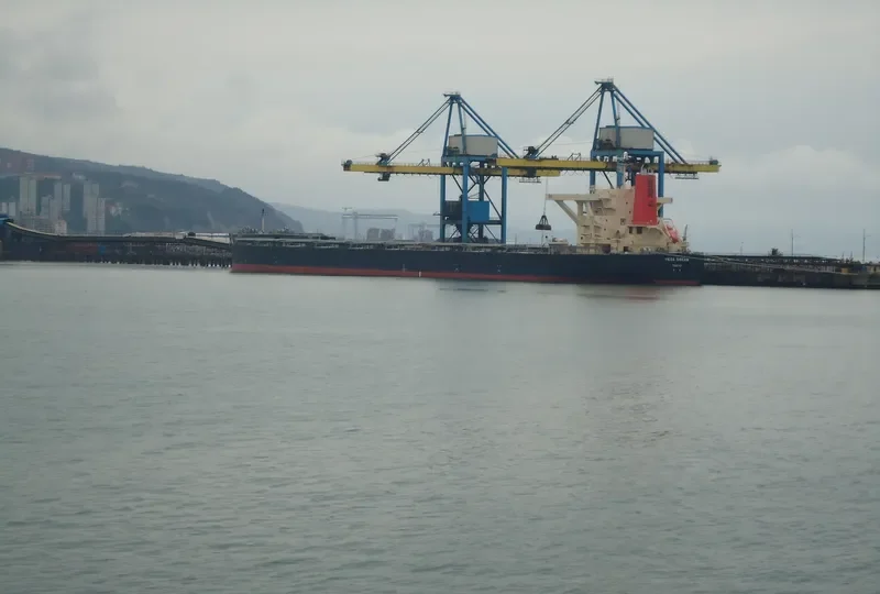 VEGA DREAM Bulk Carrier IMO 9532094 photo 7