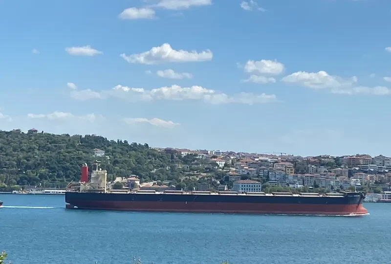 VEGA DREAM Bulk Carrier IMO 9532094 photo 8