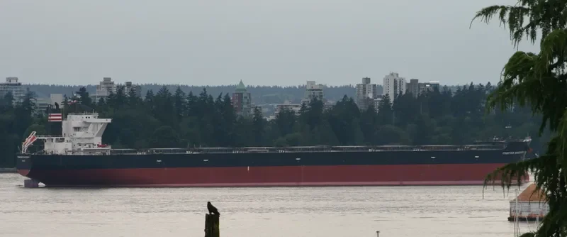 FRONTIER DISCOVERY Bulk Carrier IMO 9532109 photo 9