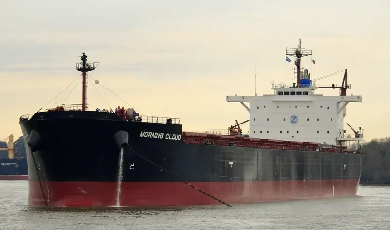 MORNING CLOUD Bulk Carrier IMO 9532197 photo 2