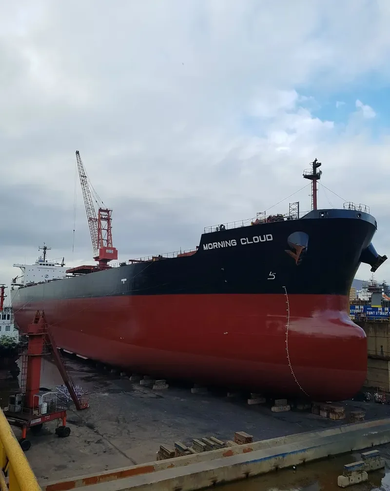 MORNING CLOUD Bulk Carrier IMO 9532197 photo 4