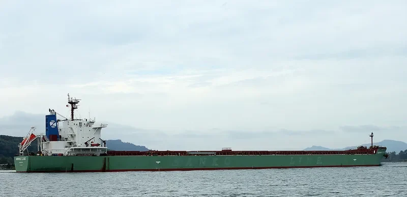 MORNING CLOUD Bulk Carrier IMO 9532197 photo 6