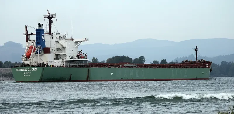 MORNING CLOUD Bulk Carrier IMO 9532197 photo 7