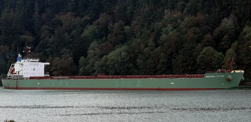 MORNING CLOUD Bulk Carrier IMO 9532197 photo 9