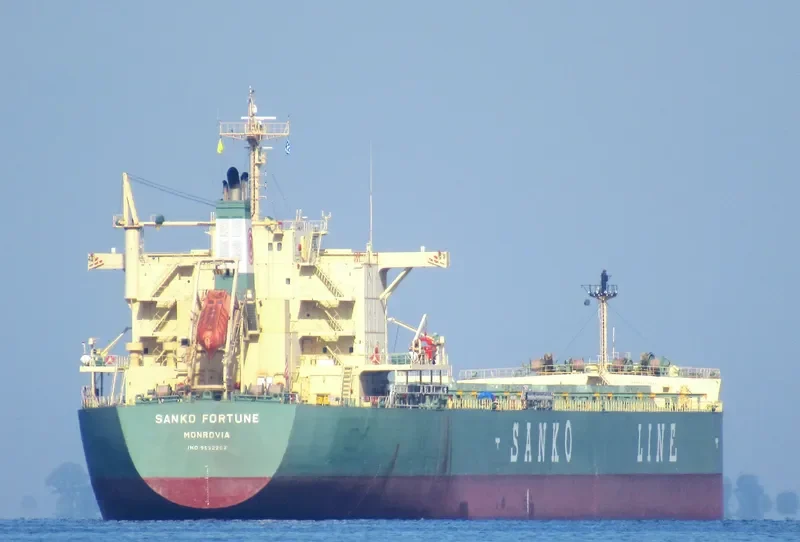 SANKO FORTUNE Bulk Carrier IMO 9532202 photo 8