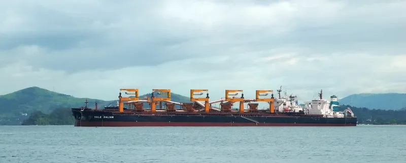 PACIFIC WARRIOR Bulk Carrier IMO 9532525 photo 2