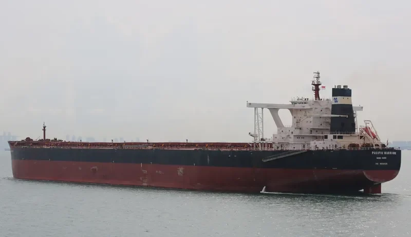 PACIFIC WARRIOR Bulk Carrier IMO 9532525 photo 4