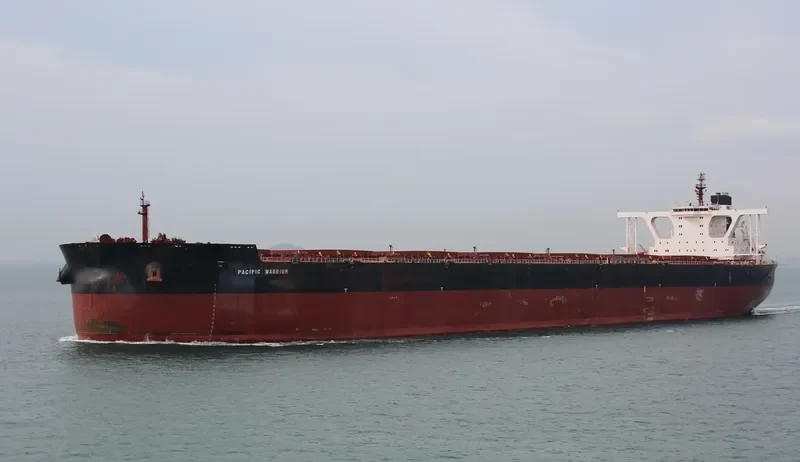 PACIFIC WARRIOR Bulk Carrier IMO 9532525 photo 5