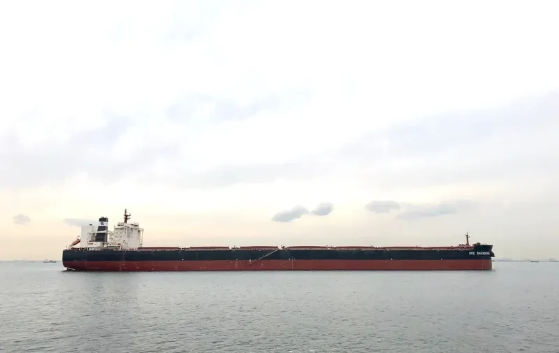 ORE SHANDONG Bulk Carrier IMO 9532549 photo 5