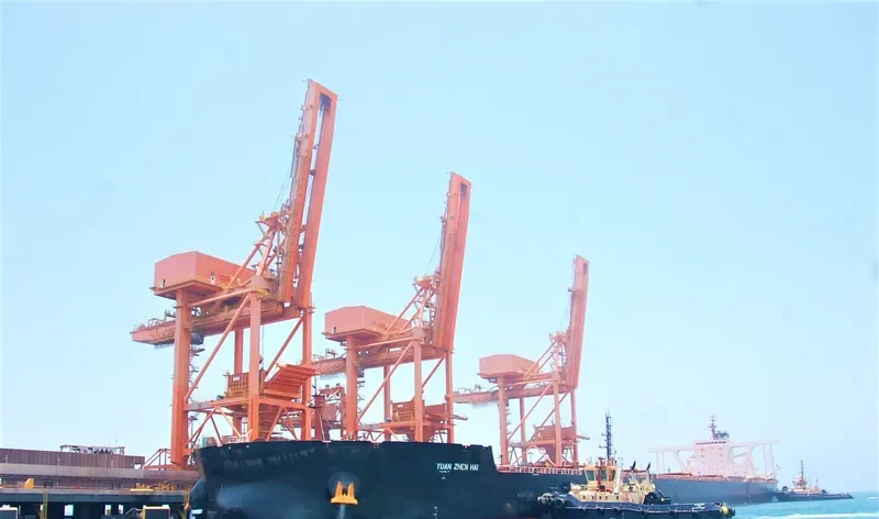 YUAN ZHEN HAI Bulk Carrier IMO 9532551