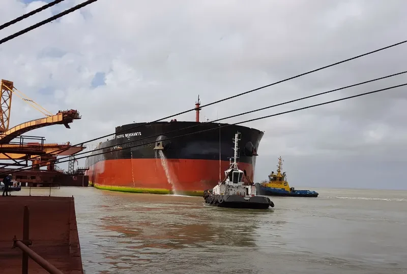 PACIFIC MERCHANTS Bulk Carrier IMO 9532604