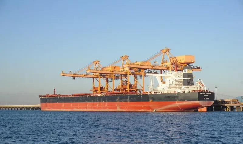 PACIFIC MARINER Bulk Carrier IMO 9532628
